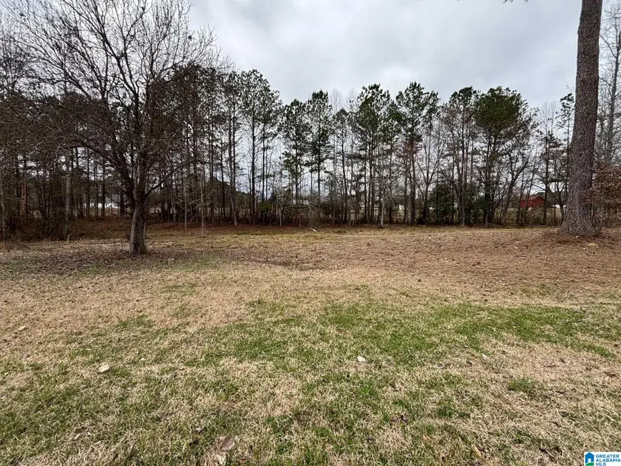 ROLLING MEADOWS DRIVE, Jasper, AL 35503 - #3