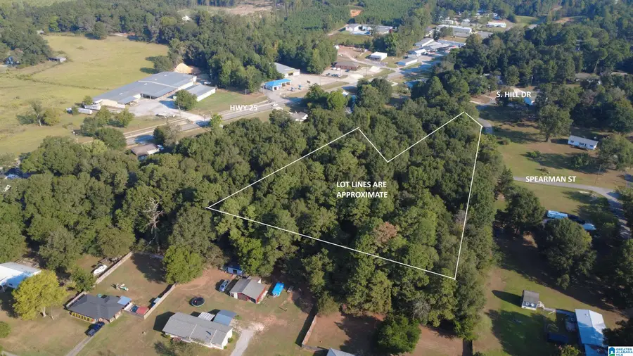 0 SPEARMAN STREET, Wilsonville, AL 35186 - #3