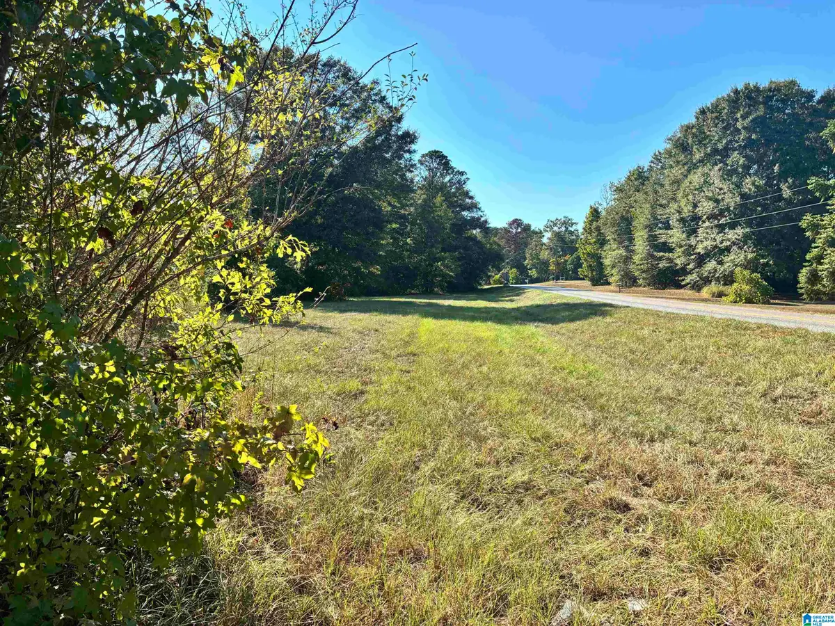 0 COUNTY ROAD 24 E, Verbena, AL 36091 - #1