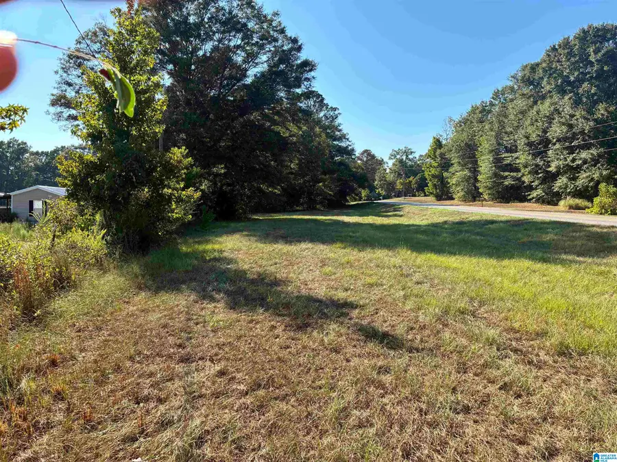 0 COUNTY ROAD 24 E, Verbena, AL 36091 - #2