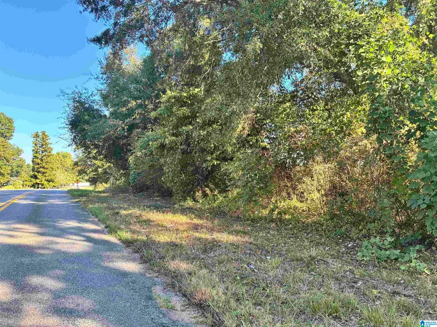 0 COUNTY ROAD 24 E, Verbena, AL 36091 - #3
