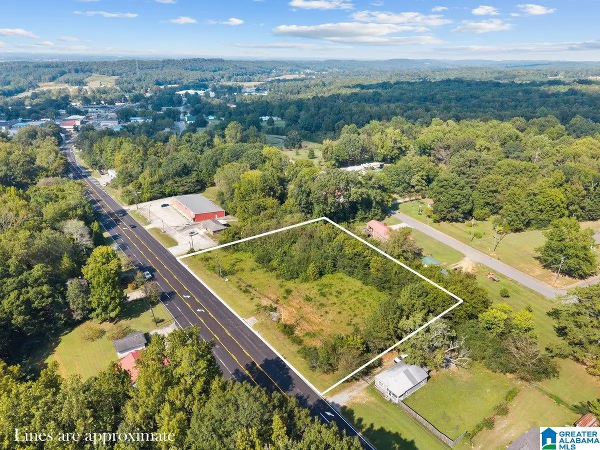 0 MAIN STREET, Blountsville, AL 35031 - #1