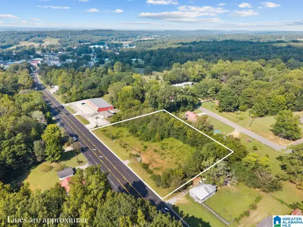 0 MAIN STREET, Blountsville, AL 35031
