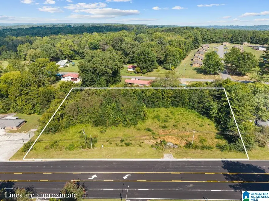0 MAIN STREET, Blountsville, AL 35031 - #2