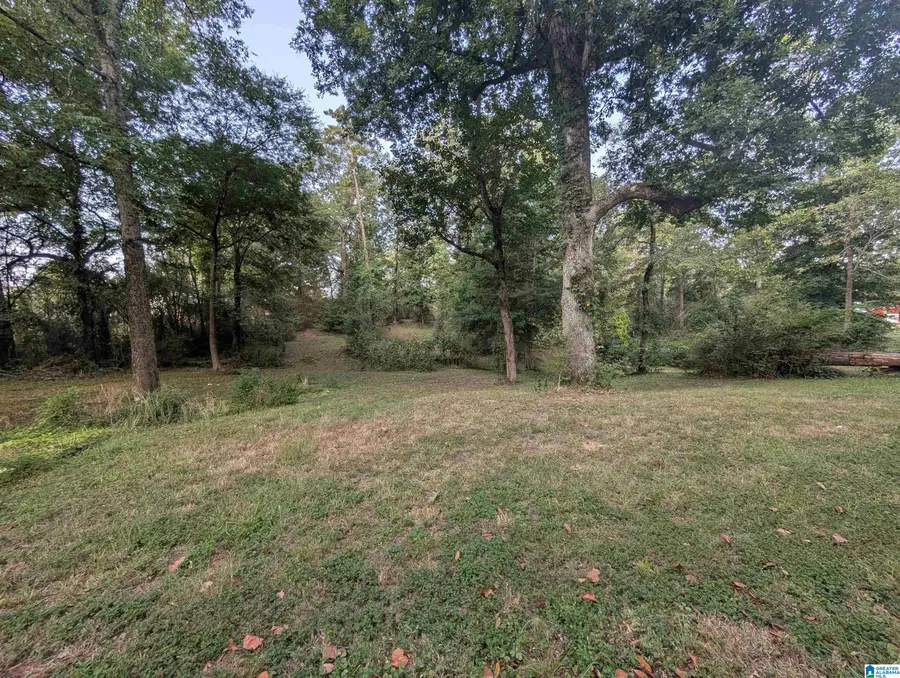 591 MCCLAIN ROAD, Bessemer, AL 35023 - #3
