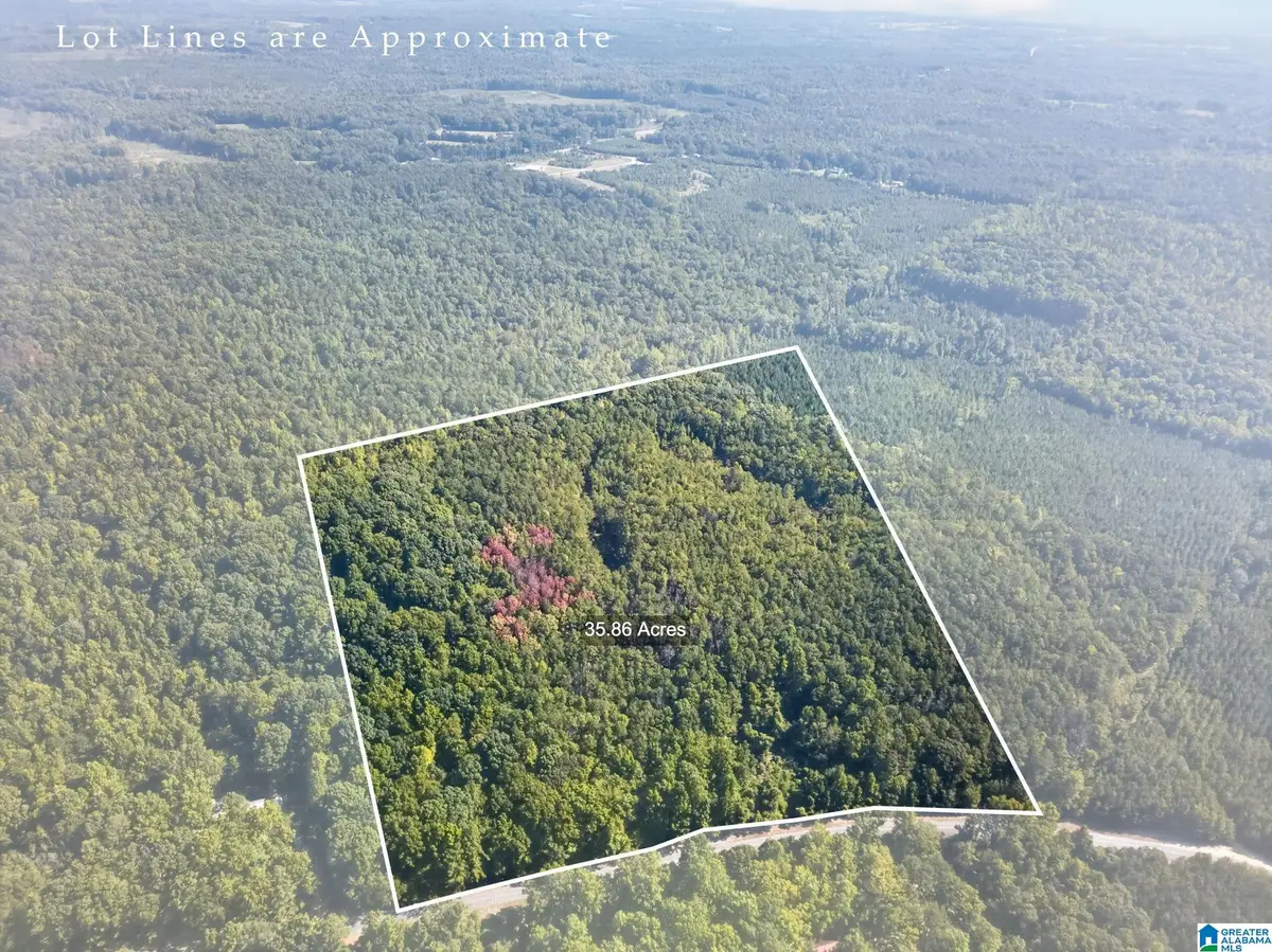 000 COUNTY ROAD 158, Roanoke, AL 36274 - #1