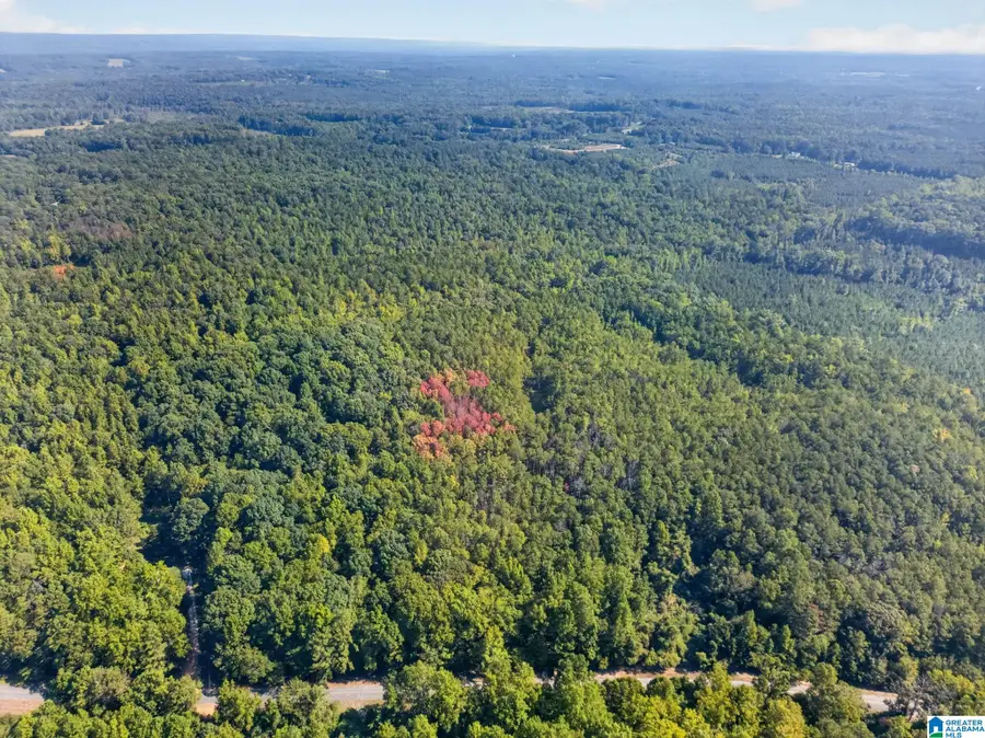000 COUNTY ROAD 158, Roanoke, AL 36274 - #2