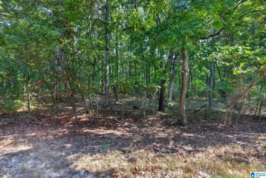 000 COUNTY ROAD 158, Roanoke, AL 36274 - #3