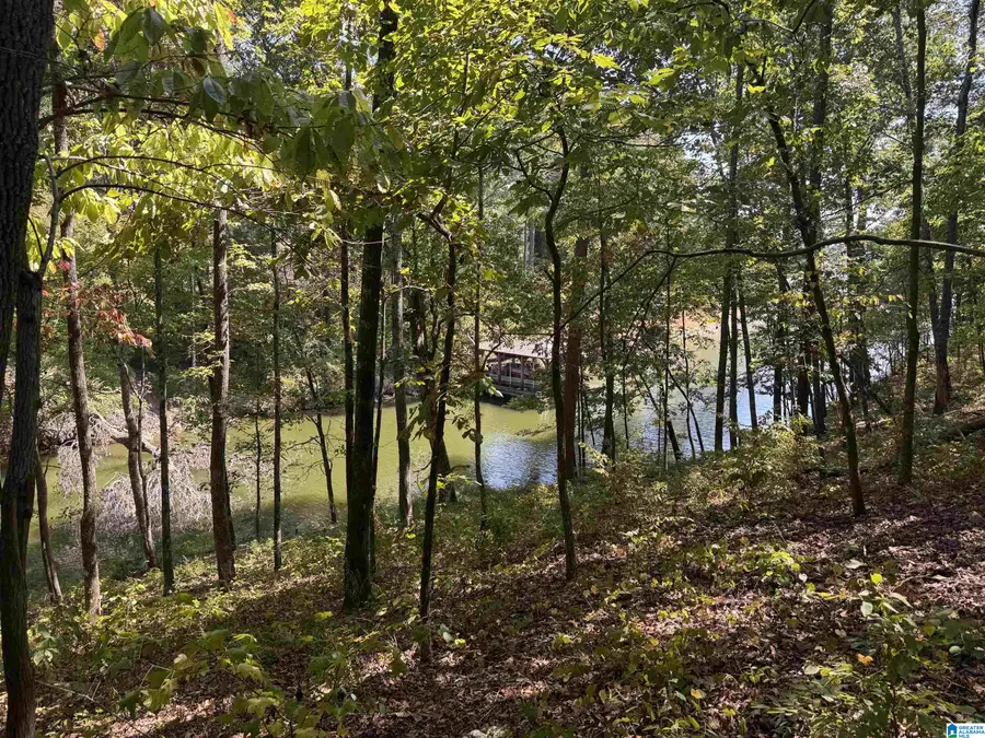 OSPREY DRIVE, Pell City, AL 35128 - #2
