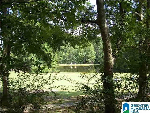 3468 FLOYD BRADFORD ROAD, Trussville, AL 35173 - #3