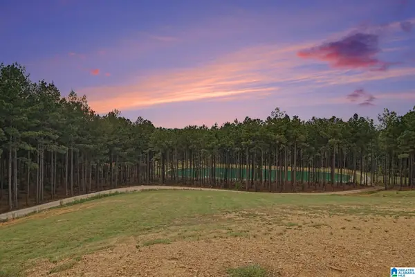 372 CHELSEA FARMS LANE, Chelsea, AL 35043