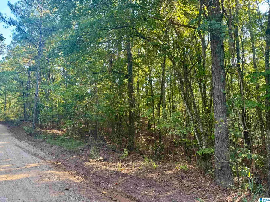 LANE BRANCH ROAD, Wedowee, AL 36278 - #2