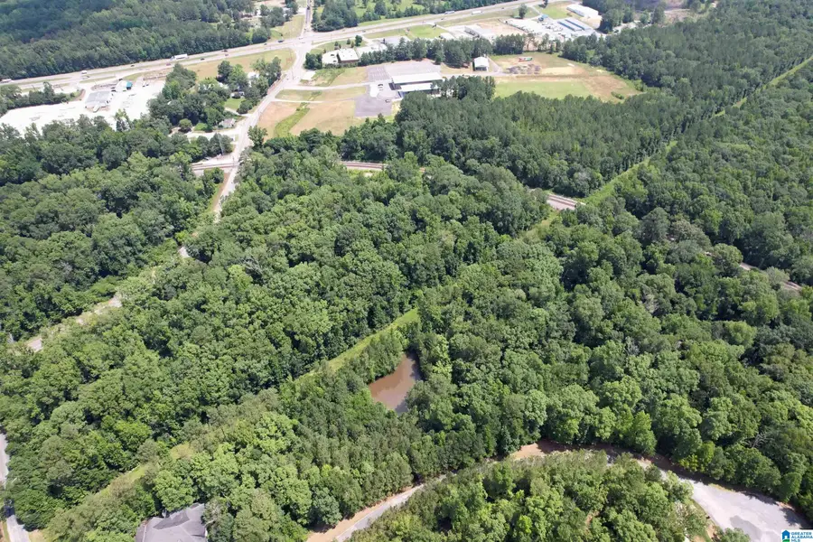 0 WEATHERTON TRAIL, Harpersville, AL 35078 - #2