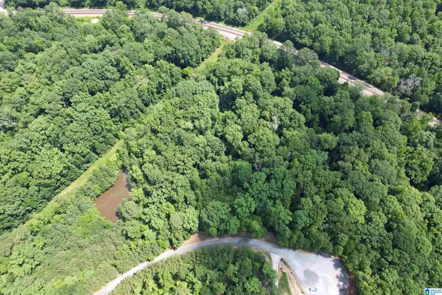 0 WEATHERTON TRAIL, Harpersville, AL 35078 - #2