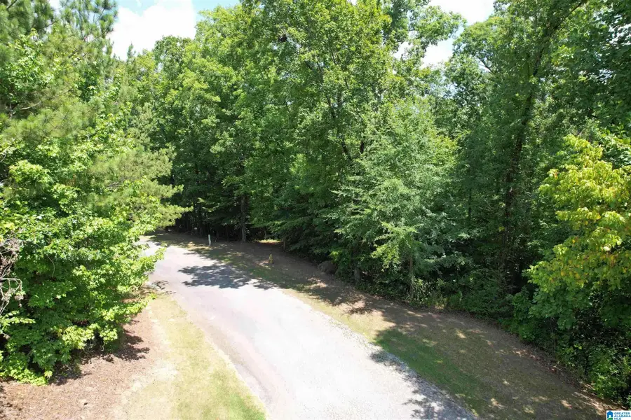 0 WEATHERTON TRAIL, Harpersville, AL 35078 - #3