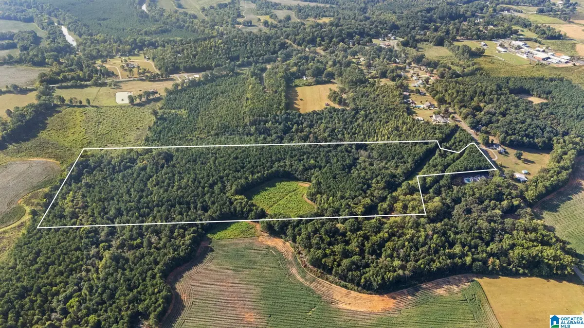 0 AL HIGHWAY 91, Gaylesville, AL 35973 - #1