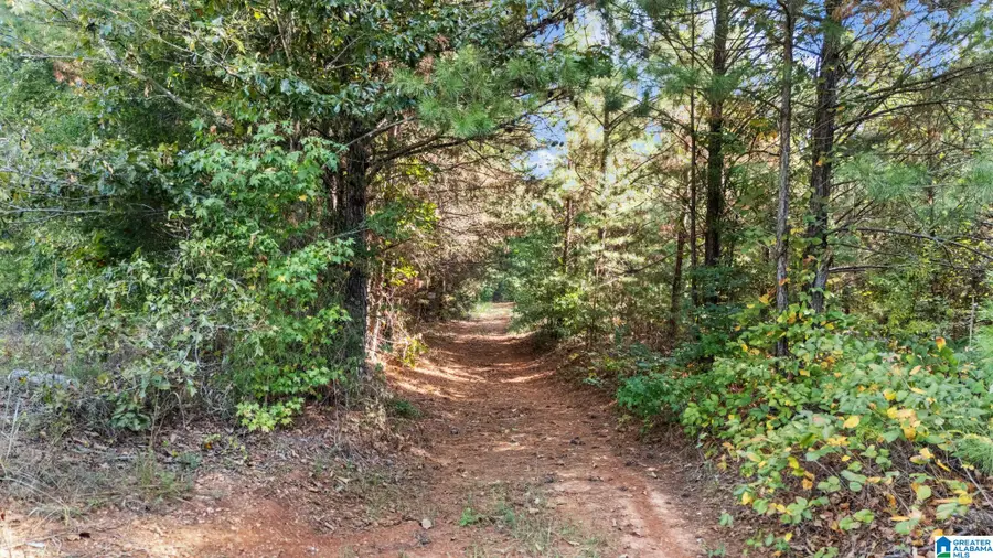0 AL HIGHWAY 91, Gaylesville, AL 35973 - #2