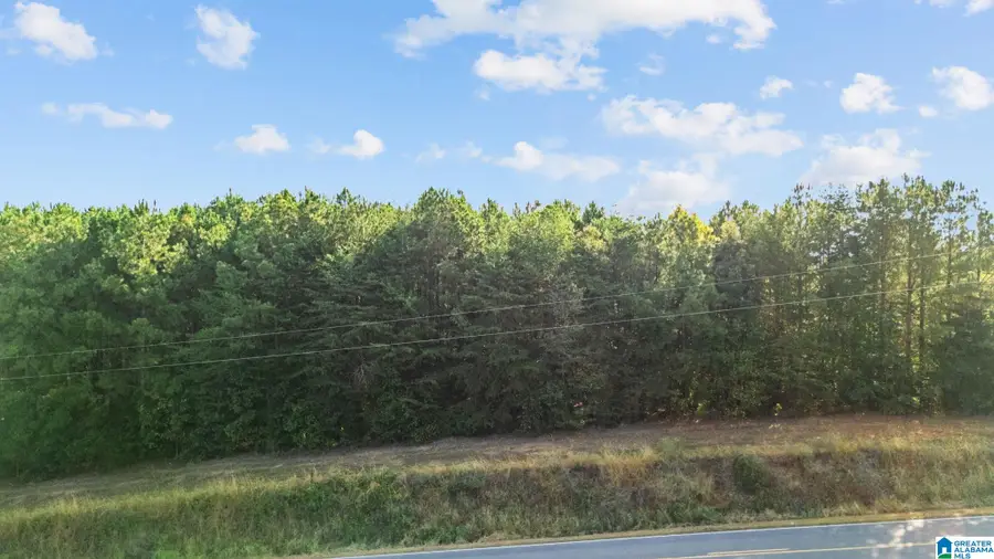 0 AL HIGHWAY 91, Gaylesville, AL 35973 - #3