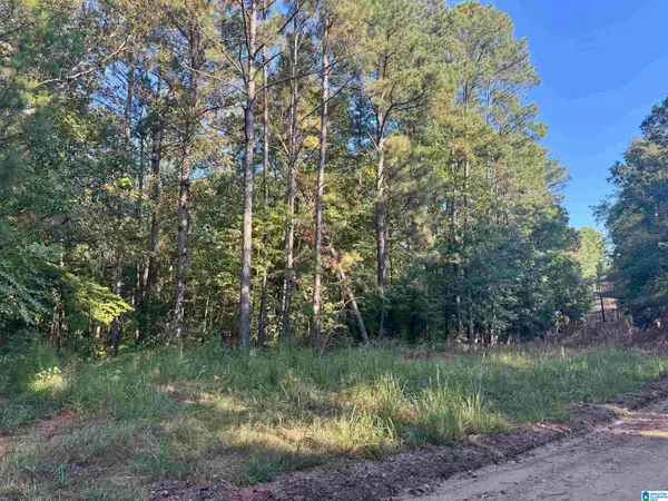 LANE BRANCH ROAD, Wedowee, AL 36278