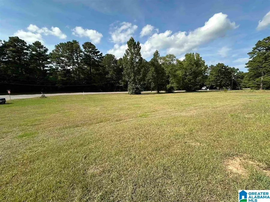 Lot 1 PARK AVENUE, Moody, AL 35004 - #3