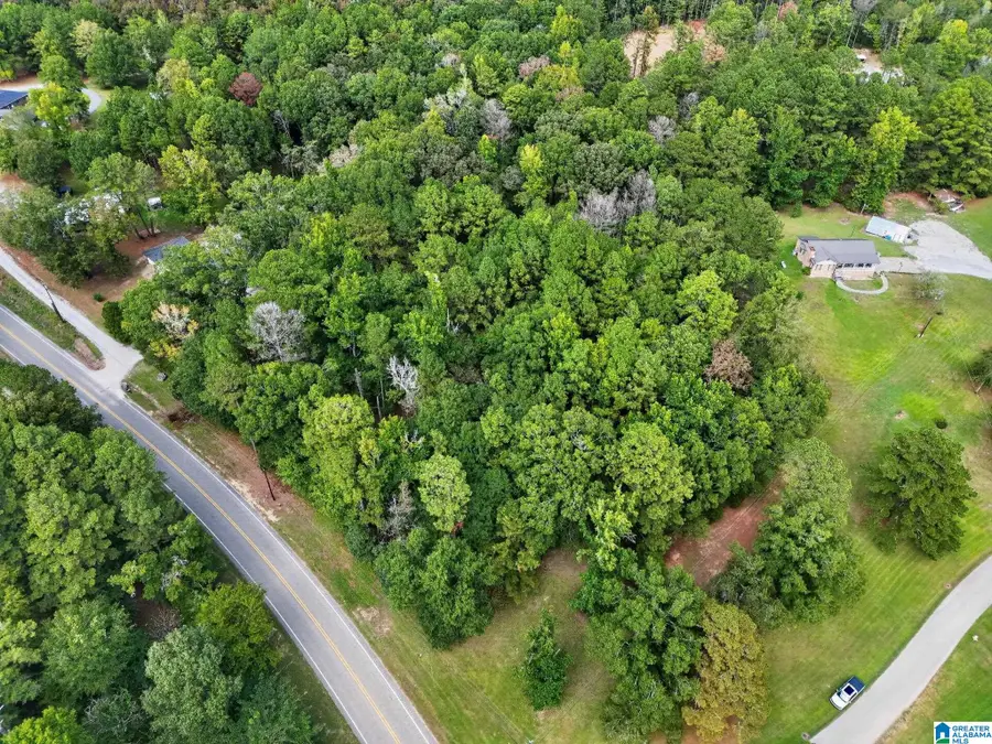 824 CHELSEA ROAD, Columbiana, AL 35051 - #3