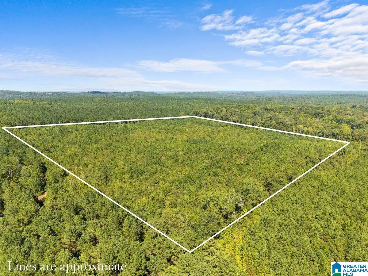 0 COUNTY ROAD 455, Clanton, AL 35046 - #1