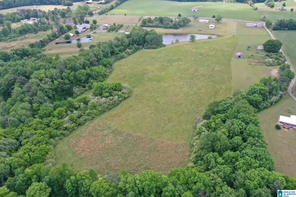 0 SCHOOL HOUSE ROAD, Baileyton, AL 35016