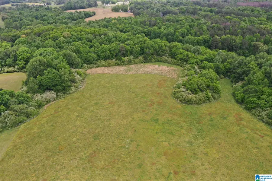 0 SCHOOL HOUSE ROAD, Baileyton, AL 35016 - #2