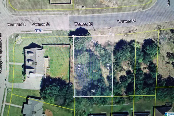 5003 VERNON STREET, Birmingham, AL 35235
