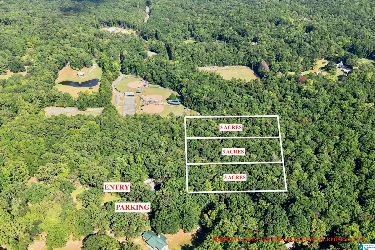 TBA HIGHWAY 338, Chelsea, AL 35043 - #1