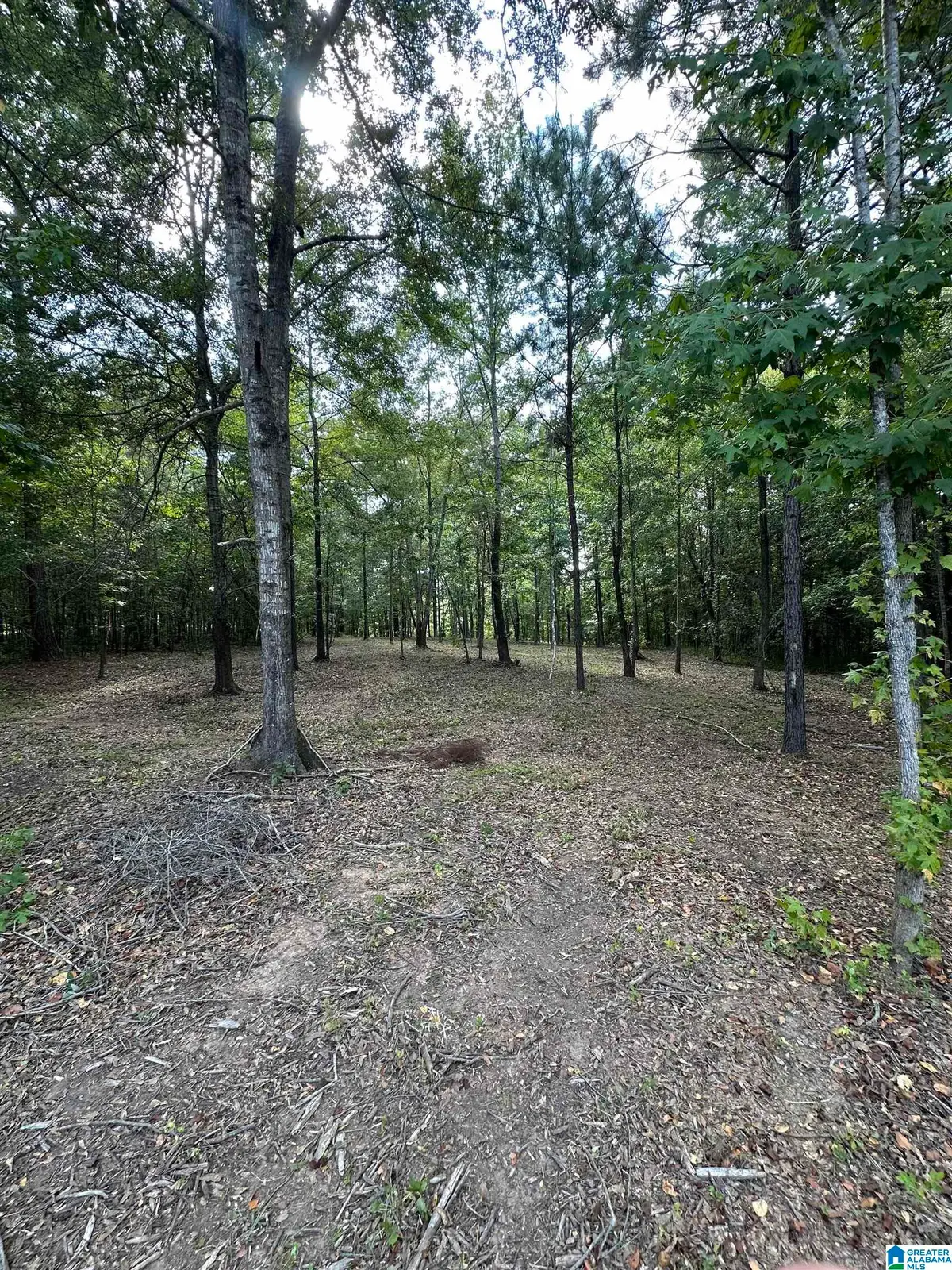 Lot 59 GENERAL JACKSON MEMORIAL DRIVE, Fayetteville, AL 35151 - #1