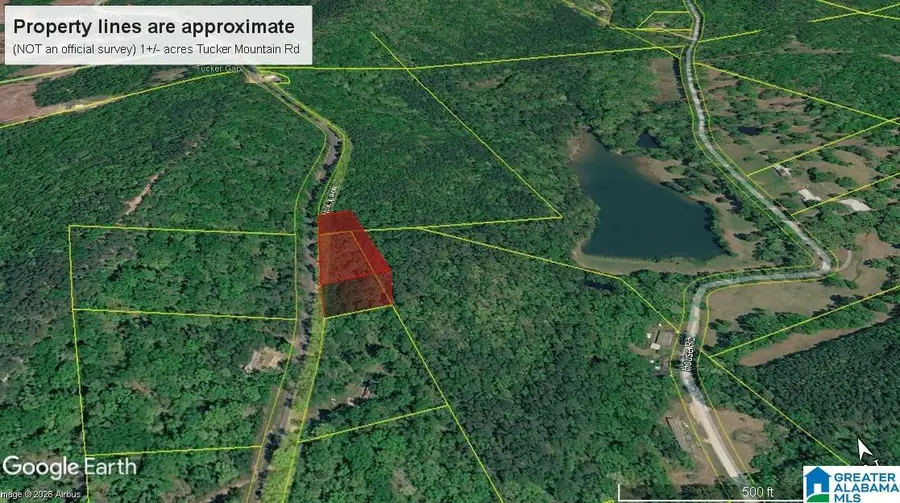 0 TUCKER MOUNTAIN ROAD, Remlap, AL 35097 - #3