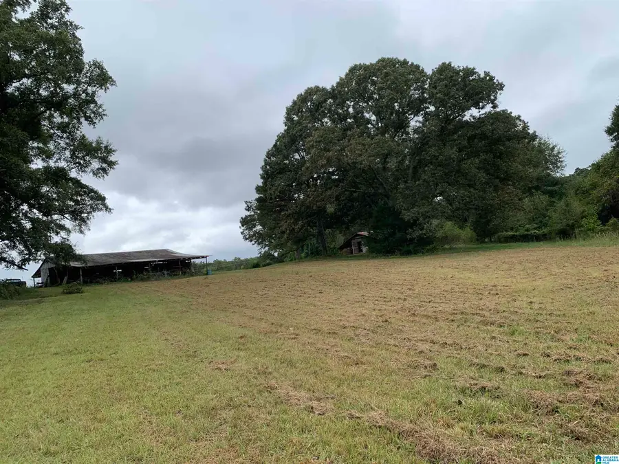 1751 RIVENDELL ROAD, Dadeville, AL 36853 - #2