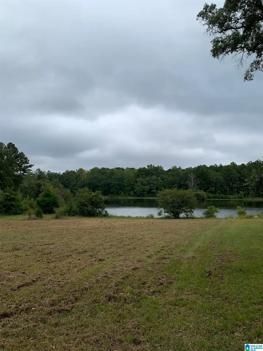 1751 RIVENDELL ROAD, Dadeville, AL 36853 - #3