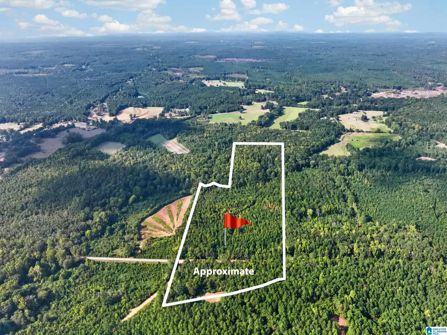 00000 LIBERTY LYLES ROAD, Ethelsville, AL 35461 - #2