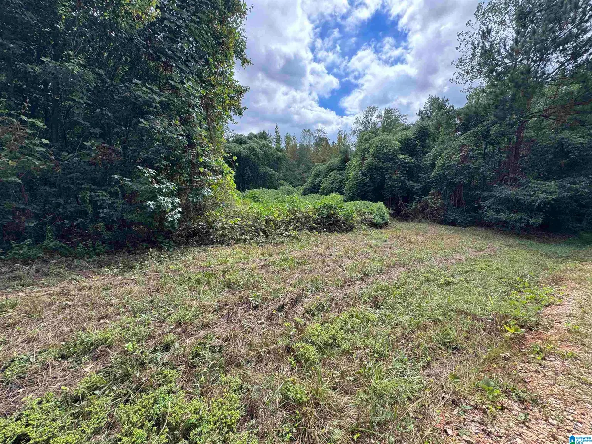 0 ROBIN LANE, Delta, AL 36258 - #1