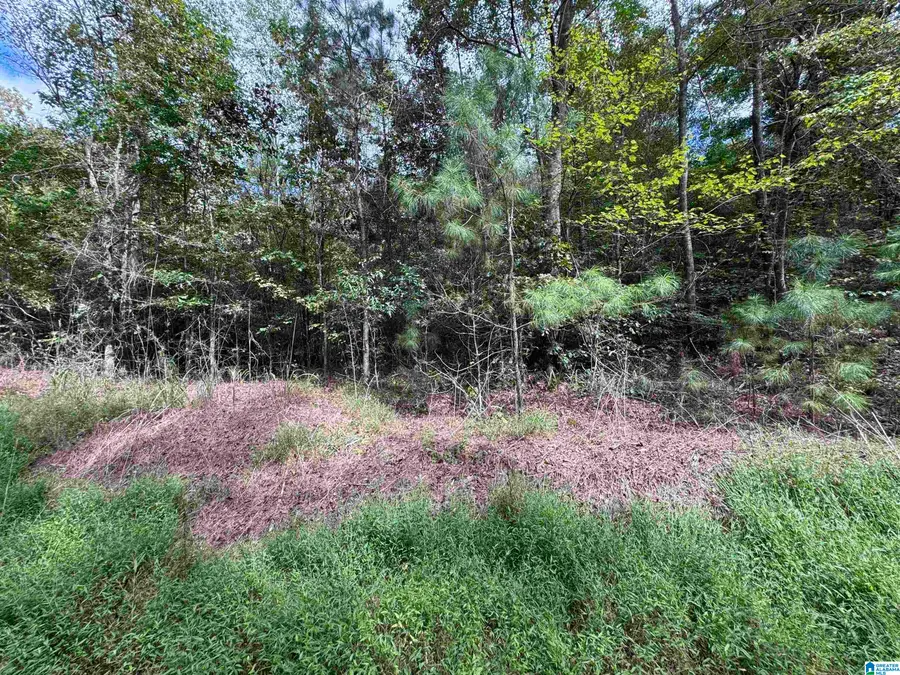 0 ROBIN LANE, Delta, AL 36258 - #2