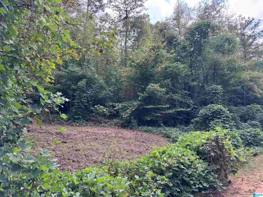 0 ROBIN LANE, Delta, AL 36258 - #3