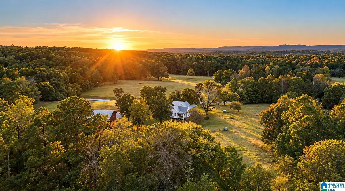 1965 CAMP BROWNIE ROAD, Childersburg, AL 35151 - #1