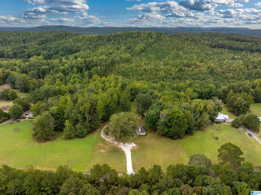 650 CURT JARRET ROAD, Ashville, AL 35953 - #3