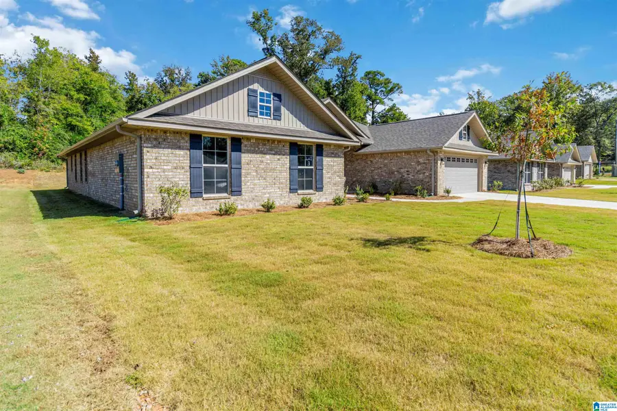 249 ALDER ROAD, Alabaster, AL 35007 - #3