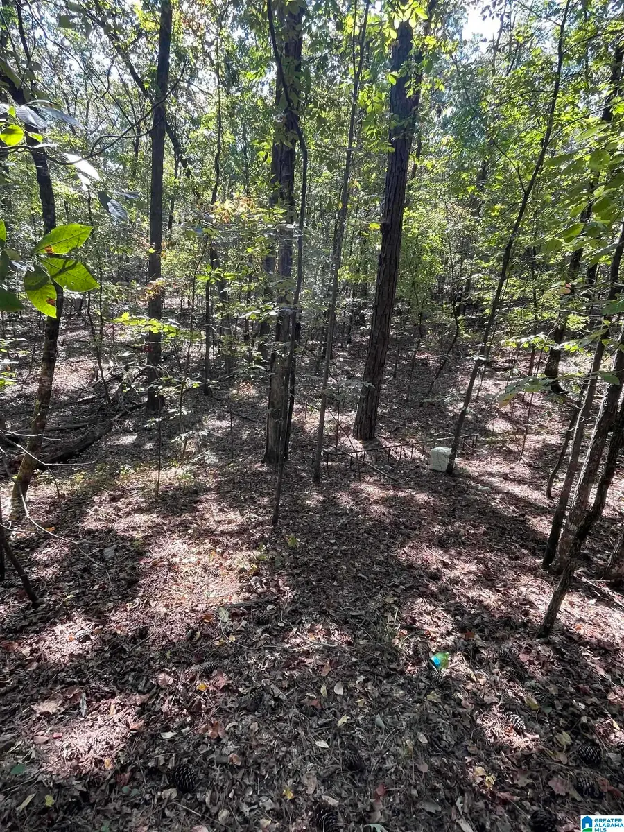 4190 BRILL DRIVE, Bessemer, AL 35022 - #2