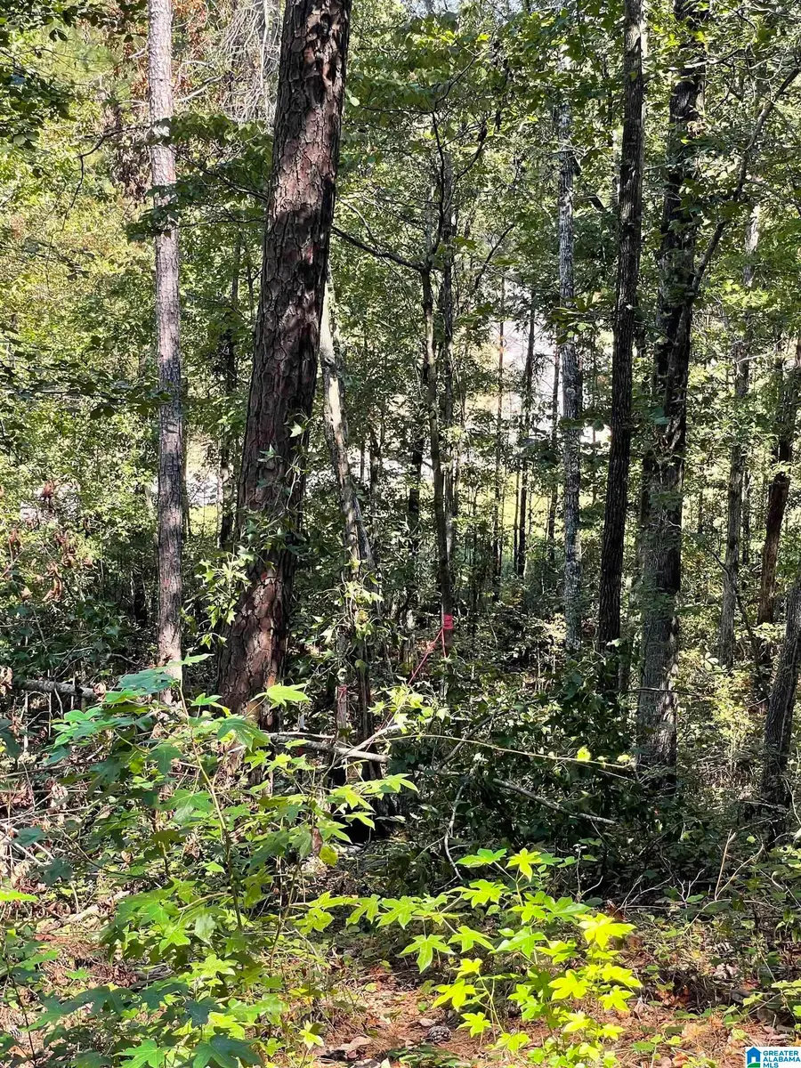4190 BRILL DRIVE, Bessemer, AL 35022 - #3