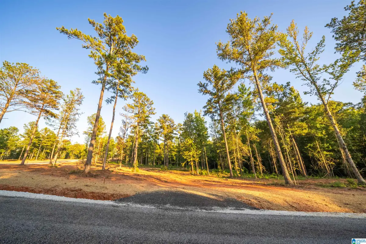 Lot19 Cam's Cov OLD HIGHWAY 431, Wedowee, AL 36278 - #1