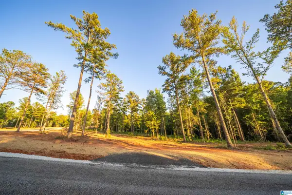 Lot19 Cam's Cov OLD HIGHWAY 431, Wedowee, AL 36278