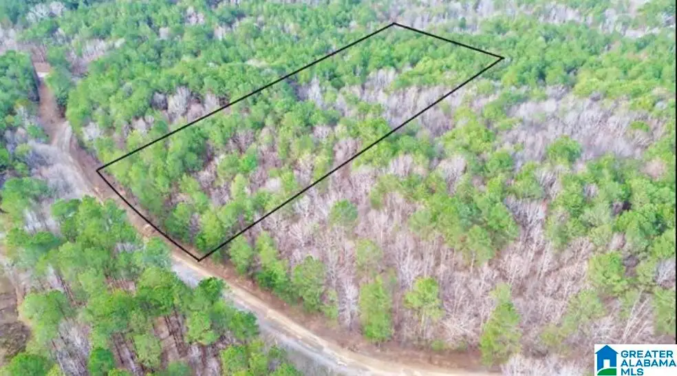 00 COUNTY ROAD 369, Cullman, AL 35057 - #1