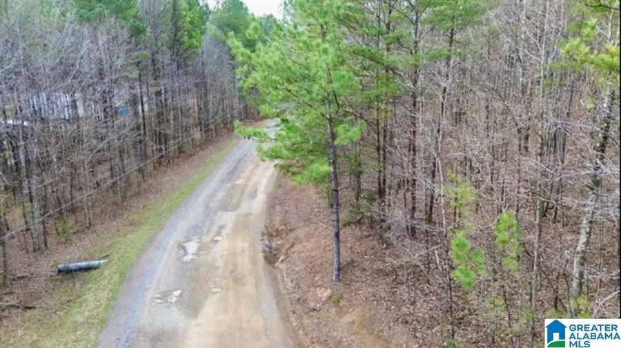 00 COUNTY ROAD 369, Cullman, AL 35057 - #3