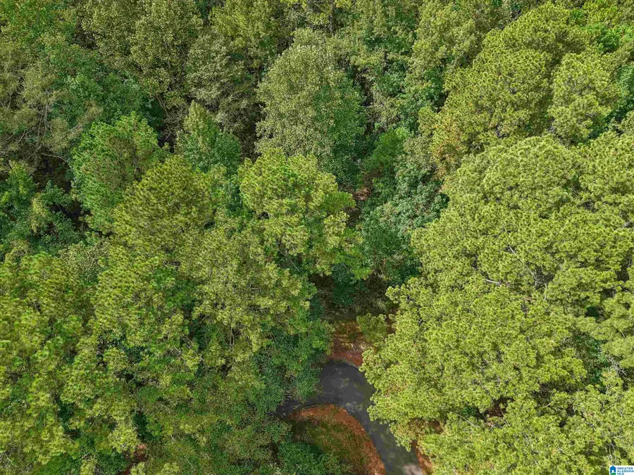0 HOWARD HILL DRIVE, Vincent, AL 35178 - #2