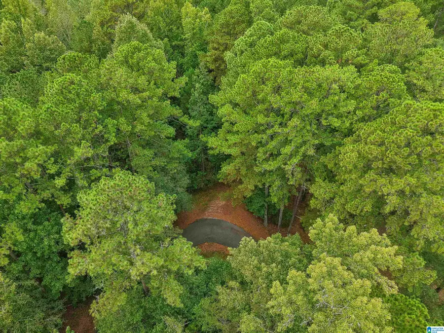 0 HOWARD HILL DRIVE, Vincent, AL 35178 - #3