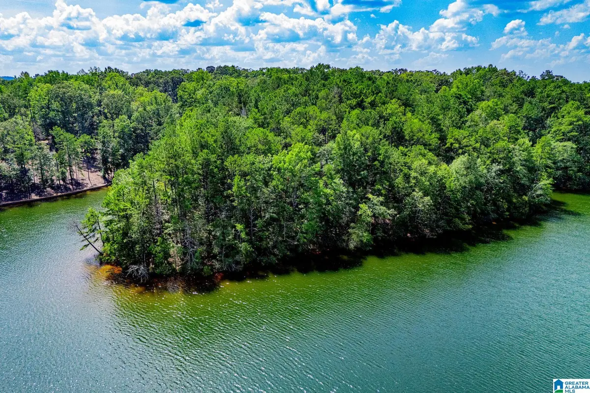 4.77 acres COUNTY ROAD 247, Wedowee, AL 36278 - #1
